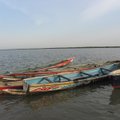 В Сенегале около 200 рыбаков заразились неизвестной болезнью