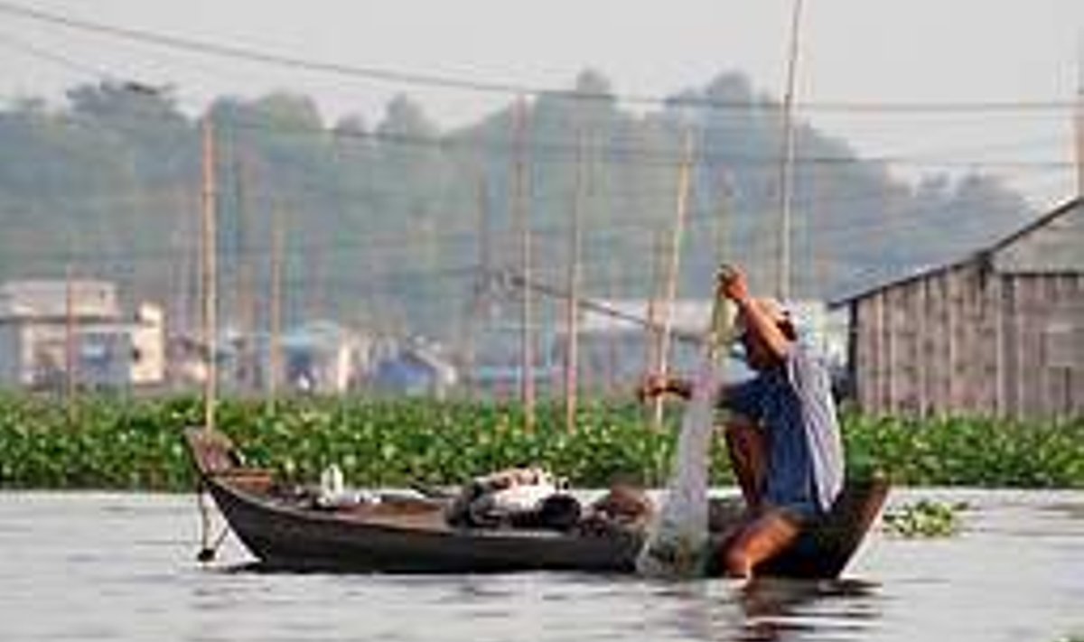 KALAMEES: Vietnamis hinnatakse sea- ja pardiliha kõrval ka veeande. TARMO MÜÜRSEPP