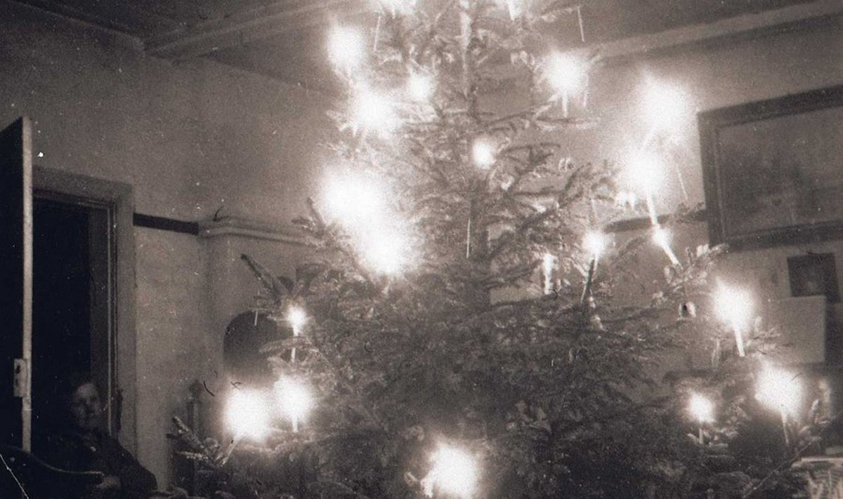 Jõulupuu Lõhmuse talus: küllap nägid  Stalini-aegsed kodujõulupuud välja üsna sama moodi nagu sel 1937. aastast pärineval fotol, kuid kardinad oli kindlam akende ees hoida.