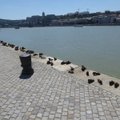 ФОТО читателя Delfi: Пронзительный памятник на набережной Дуная