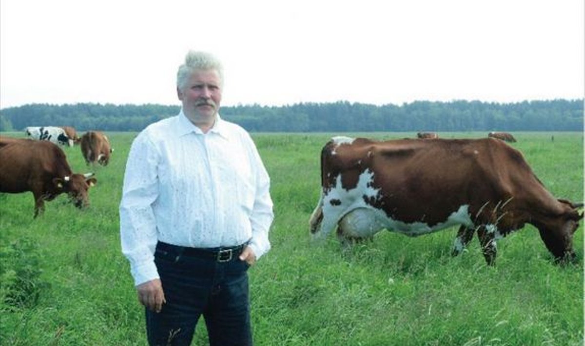 Karli Kivi on küll kaks kümnendit puhkuseta rüganud, ent tunneb endas jõudu jätkata. Järgmisena on plaanis ehitada uus laut 50 lehmale – selline, kus traktoriga sees sõitma mahub.