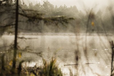 Järve pinnal hõljub udu, millele päike joonistab läbi puude varje.