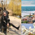 ФОТО | RusDelfi в Риге: какие места посетить в столице Латвии весной и как выгодно туда съездить?