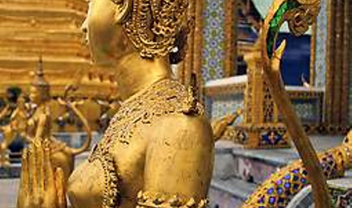 TEMPLITE LINN: Bangkoki pühakupale. TIINA URM