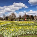 Korralda endale ise inspireeriv aiareis Londoni uhkeimatesse aedadesse!