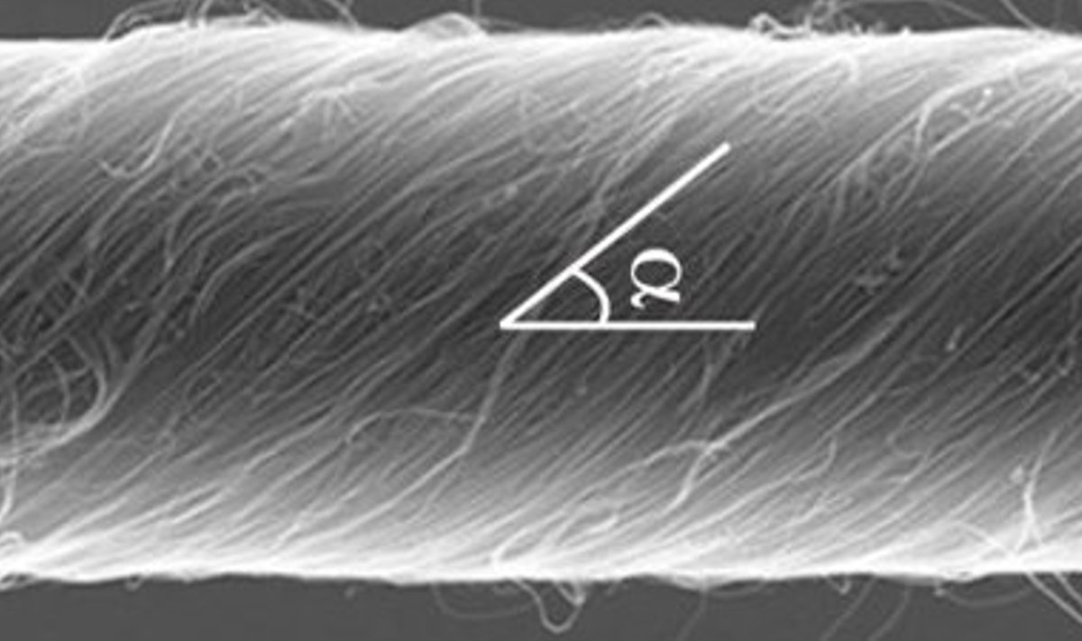 Pöördiikumist võimaldav kunstlihas mikroskoobi all. Pilt Texase ülikool