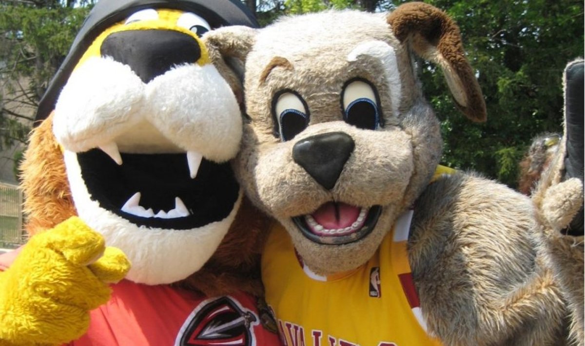 Cleveland Cavaliersi maskott, Foto: Moondog/Flickr
