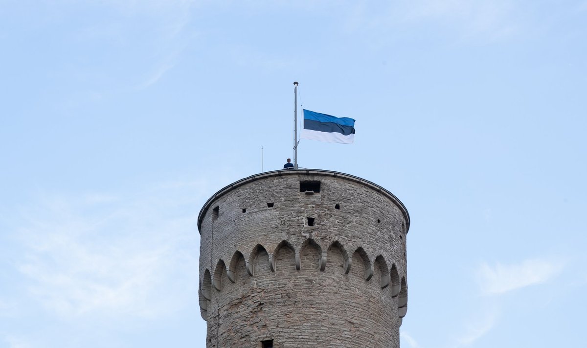 Eesti lipp. 