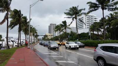 SOE, AGA VIHMANE: Miamis oli küll umbes 25 kraadi sooja, aga see-eest sadas mitu päeva järjest vihma.