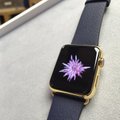 300-kilone magnet kohtub Apple'i kuldse kellaga ja tulemuseks on palju sädemeid