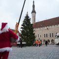 Tallinn otsib Raekoja platsile sobilikku jõulupuud