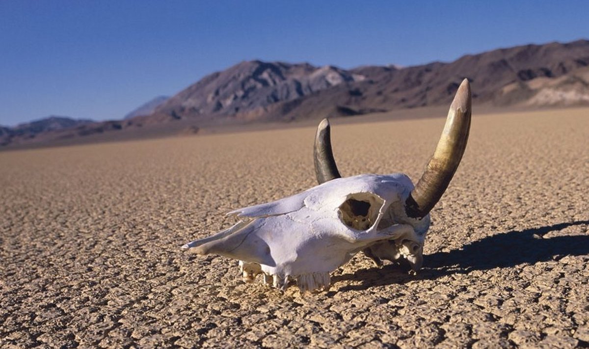 Californias Surmaorus on kuumust pea kogu aeg nii palju, et kõik elav enda teel hävitada. Foto: Corbis/Scanpix