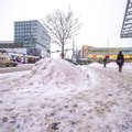 DELFI VIDEO: Tallinna kommunaalametnik: paljud inimesed ei taha mõista, et talvel ongi raskem liikuda