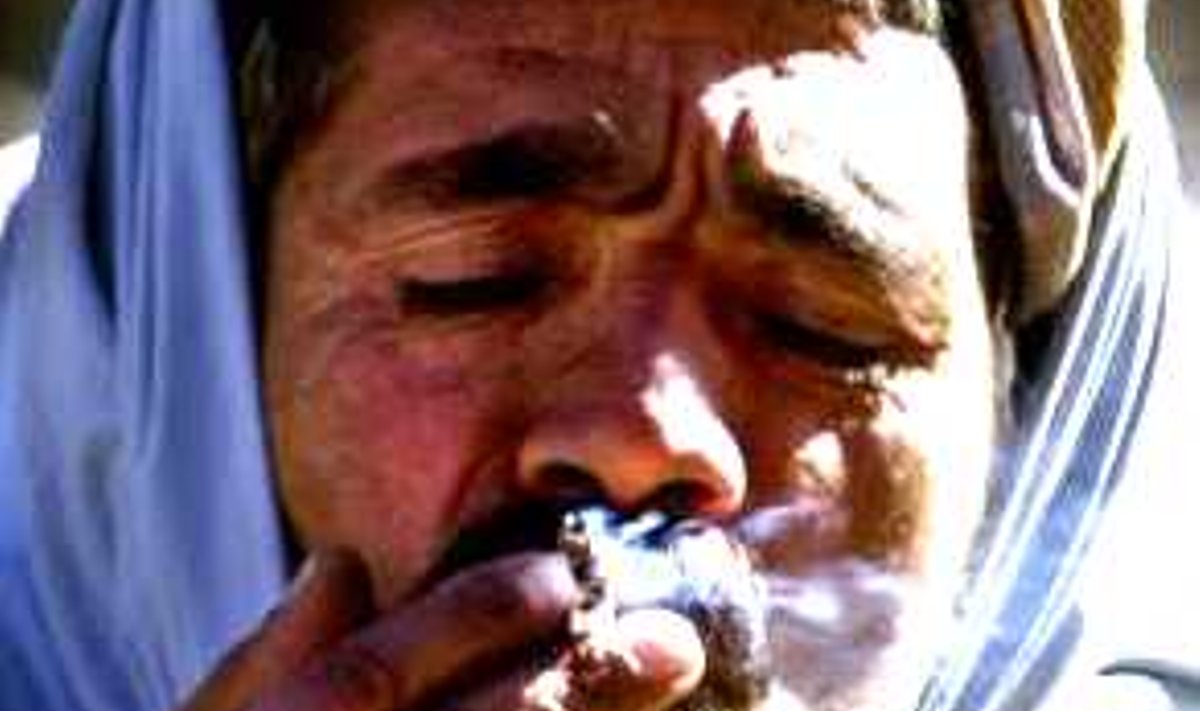 Afgaan suitsetab hašišit