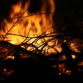 Tallinnas on aia- ja haljastusjäätmete põletamine keelatud, põletada võib vaid oksi