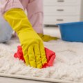 Про пылесос можно забыть: как эффективно очистить ковер от шерсти и не только