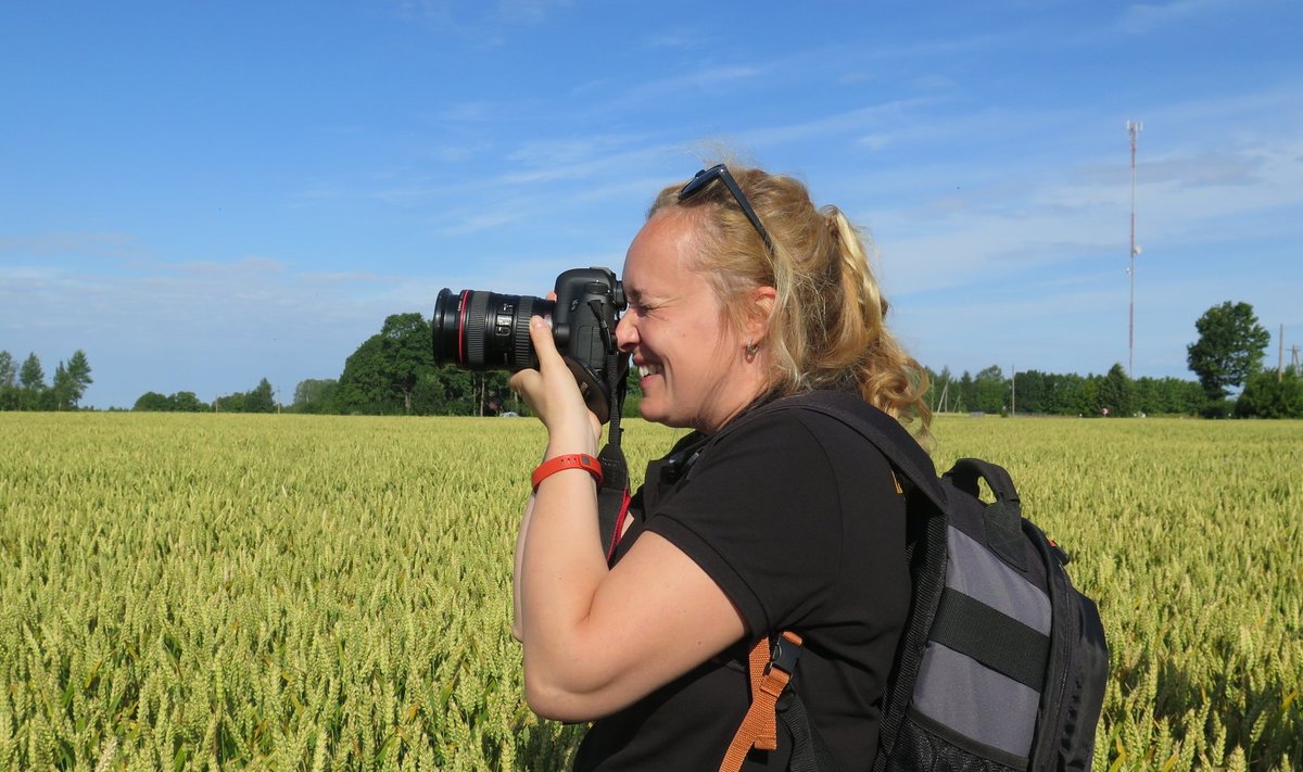 Refereeritud artikli autor Annaleena Ylhäinen on agronoomiharidusega ajakirjanik, kes töötab Soome põllumajandusajakirjas Käytännön Maamies. Kümmekond aastat tagasi oli Annaleena üks neist, kes Eesti viljelusvõistlusele hoo sisse lükata aitas.