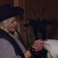 SÜDAMLIK VIDEO | Koroona-aeg Ranna Rantšos: kitsed, lambad ja merisead igatsevad inimkäe paitust