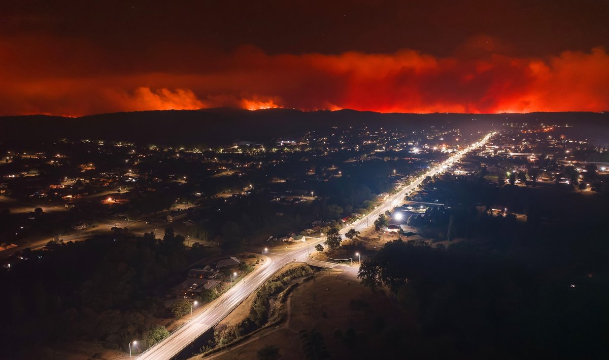 Декабрьские лесные пожары испортили Рождество австралийцам. С каждым годом сезон пожаров начинается все раньше и оказывается все разрушительнее
