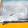 ФОТО: Олень врезался в лобовое стекло рейсового автобуса: пассажиры не пострадали