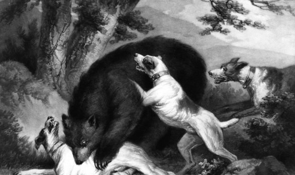 Scanpix/Bear Hunt by George Morland 1796