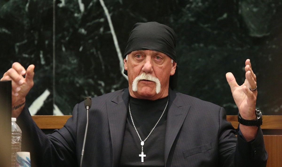 KALLIS HÄBISTAMINE: USA wrestlingu-staari Hulk Hogani seksivideo levis läbi netiväljaande Gawker. Kohtus võitis Hogan hiljem Gawkeri vastu 100 miljoni dollari suuruse kahjutasunõude.