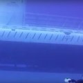 VIDEO: Ootamatult ilmunud allveelaev oleks sukeldujad äärepealt alla ajanud