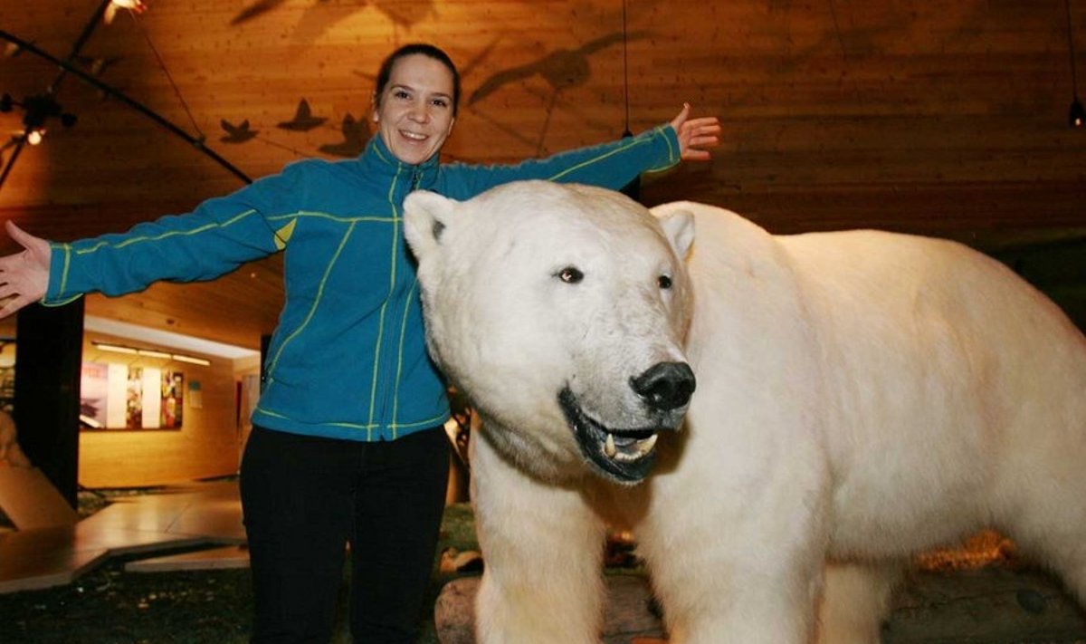 Sofia Mercadali päevad mööduvad jääkarude ja karuteemaliste küsimuste keskel. (Foto: Rein Sikk)