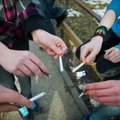 Eestis suitsetatakse aastas 3000 tonni tubakat