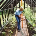 Eva Luigas soovitab maikuus teha neid aiatöid. Lisatud Thuni külvikalender