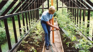 Eva Luigas soovitab maikuus teha neid aiatöid. Lisatud Thuni külvikalender