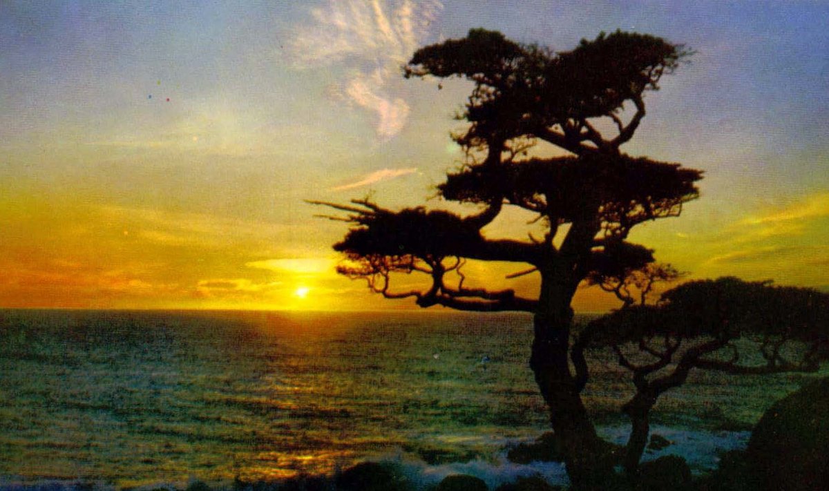 Päikeseloojang Antillidel (Foto: Wikimedia Commons / Terry Whalebone)