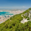 Эпические виды, Скала и обезьяны: почему стоит посетить Гибралтар этим летом 