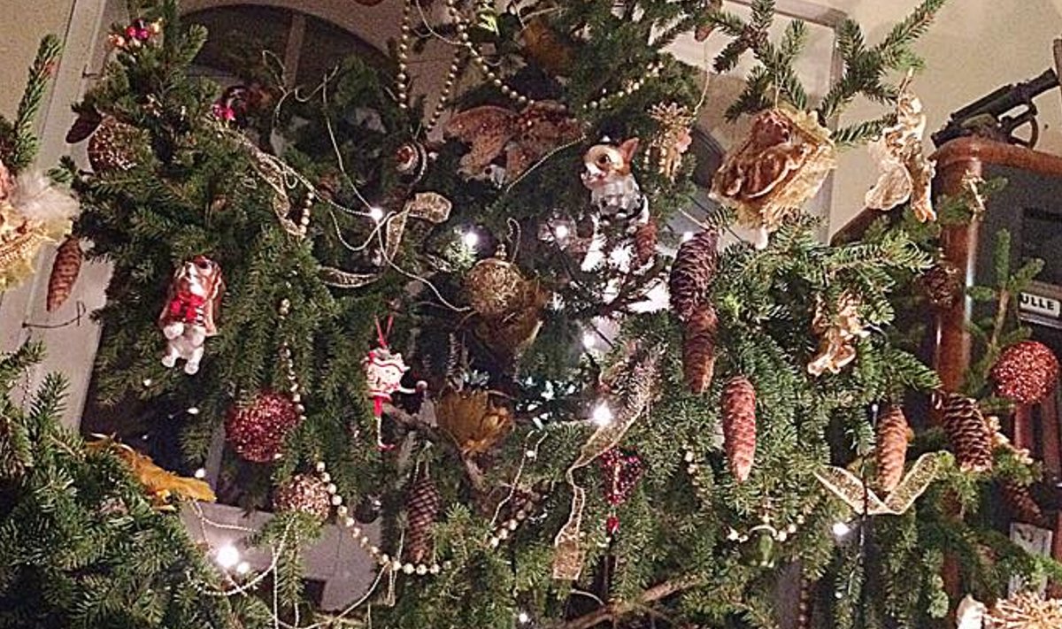 Fotovõistlus “Pühad minu kodus”: Rikkalikult ehitud jõulupuu