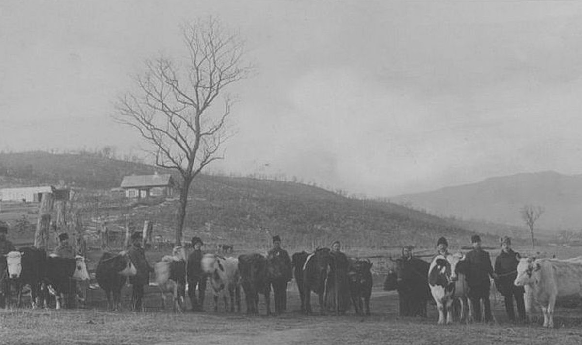 Kolonistid karantiinis. Aadu Treufeldti foto on tehtud 1909. aastal Kaug-Idas. Peakatete järgi otsustades pole tegu eestlastest kolonistidega.