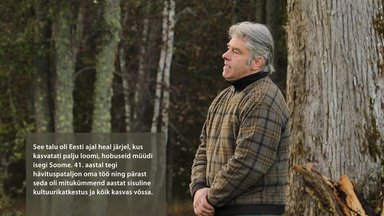 Rauli lugu: Oma metsa kasutamine keelati omaniku selja taga