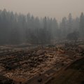 Число жертв пожаров в Калифорнии возросло до 25 человек