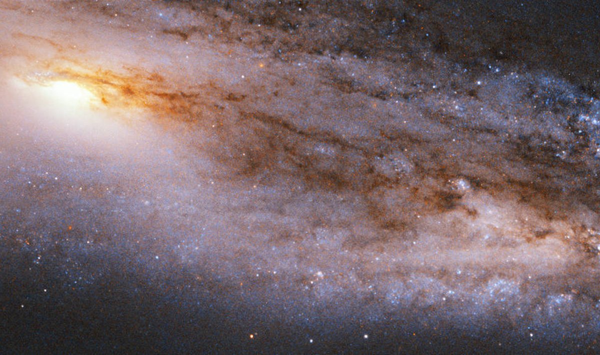 Kosmoseteleskoobi Hubble foto tähtedest ja kosmilisest tolmust ilmaruumis. (Foto: Wikimedia Commons / Killarnee)