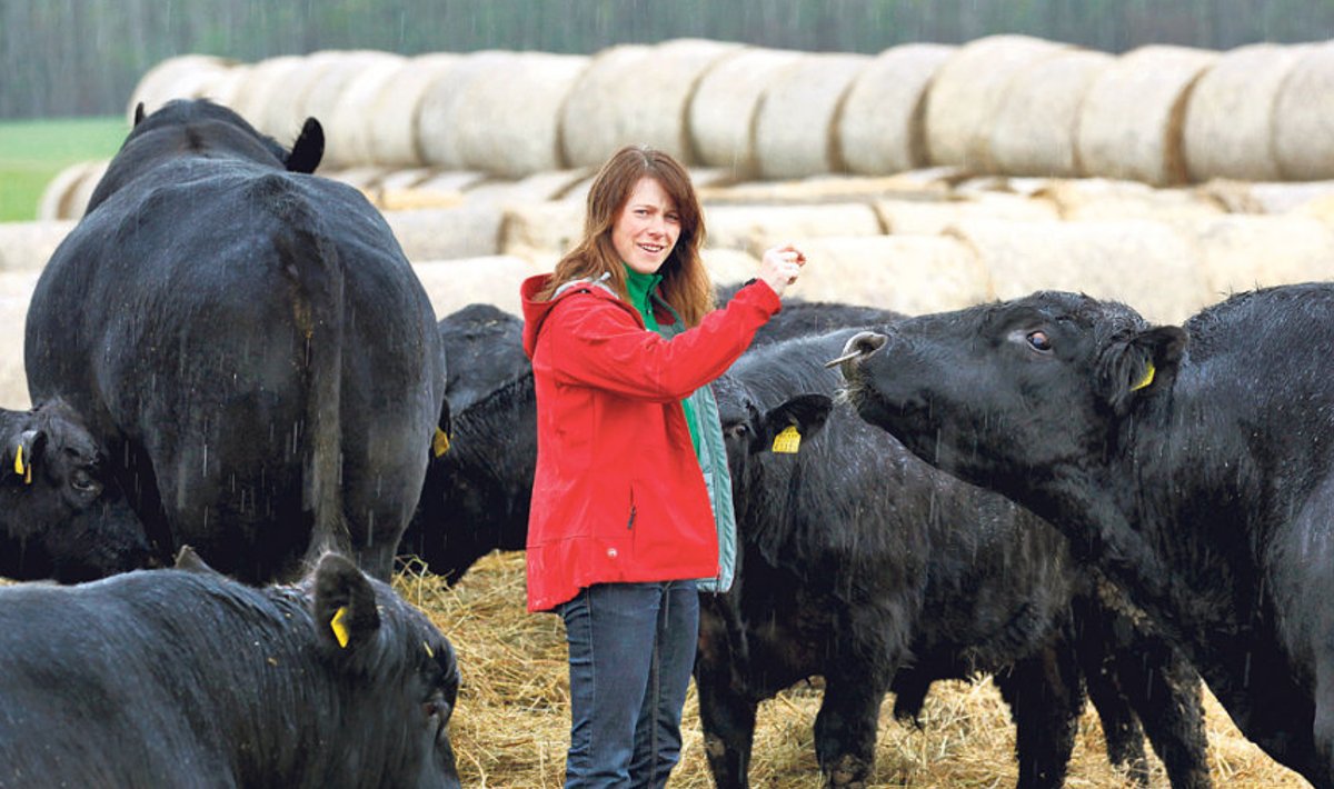 Harjumaa lihaveisekasvataja Jane Mättik on veendunud, et veiseliha hinnalangus õpetab paremini majandama: ellu jäävad need, kes oskavad kasumlikult toota ega sõltu ainult toetustest.