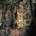 В джунглях Мексики нашли древний дворец майя. Его длина сопоставима с футбольным полем