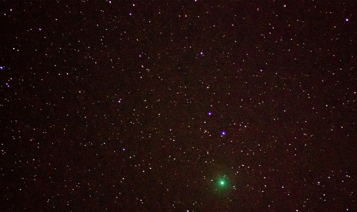Komeet 46P/Wirtanen