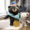 Pyeongchangi olümpiakuld jõudis spordimuuseumisse