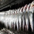 Maaelu Edendamise Sihtasutus hakkab kalandussektorile laenu andma