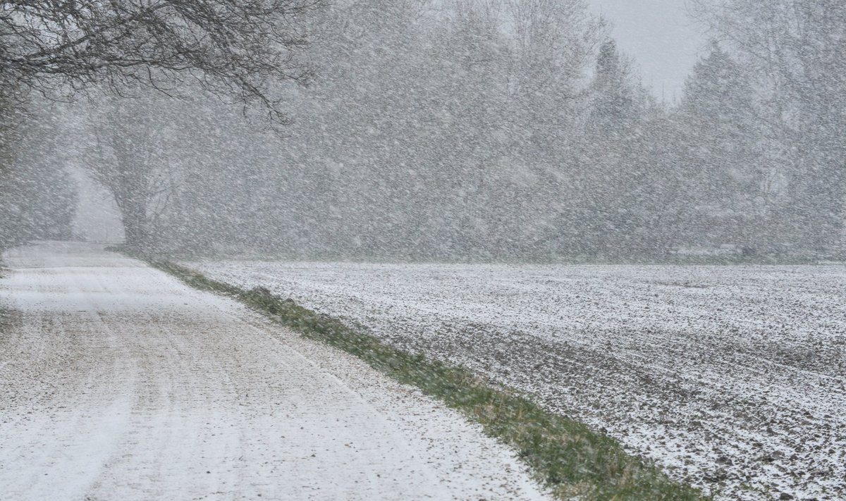 Põhja-Viljandimaal tuli lumi maha