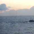 ТОЛЬКО НА DELFI: ВИДЕО — пассажир Tallink заснял, как рядом с судном погружалась подводная лодка