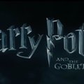 Põnev TEST | Millisesse "Harry Potteri" perekonda kuuluksid sina? Disaini maja ja saad teada