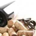 Kui keskkonnasäästlik on korgipuust veinikorkide tootmine? Aga milline kork on parim veini küpsemisele?