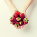 ILUTOIMETAJA SOOVITAB: kooriv maasikamask jalgadele