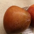 ФОТО | Покупатель в шоке: облил эко-яблоко кипятком, а на нем выступили красные капли!