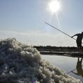 Venemaa vastukäik sanktsioonide pikendamisele: soola impordi keeld